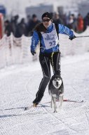 Lenk 2013